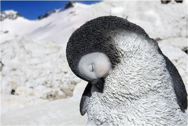 Alt view image 4 of 4 - Hi-Line Gift Large Sleeping Penguin