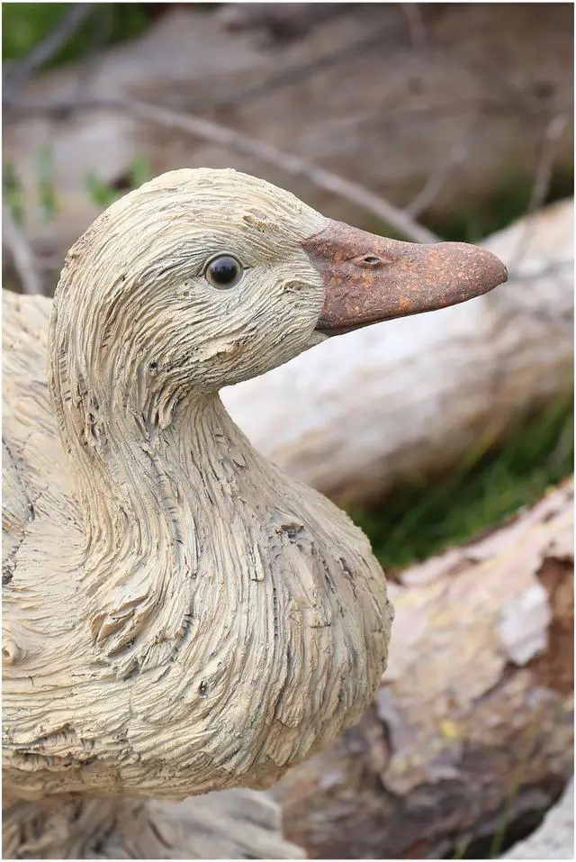 Alt view image 6 of 6 - Hi-Line Gift Duck Driftwood Look