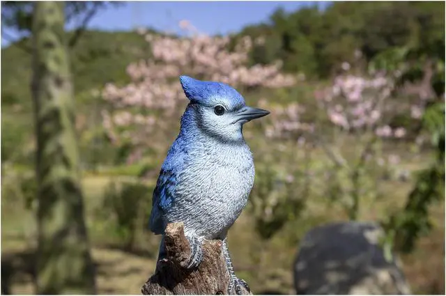 Alt view image 4 of 5 - Hi-Line Gift Motion Activated Singing Blue Jay Standing On Stump