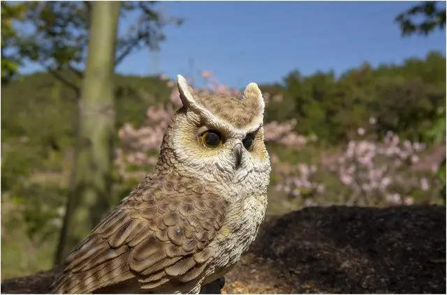Alt view image 6 of 7 - Hi-Line Gift Motion Activated Singing Long Eared Owlet Standing On Stump