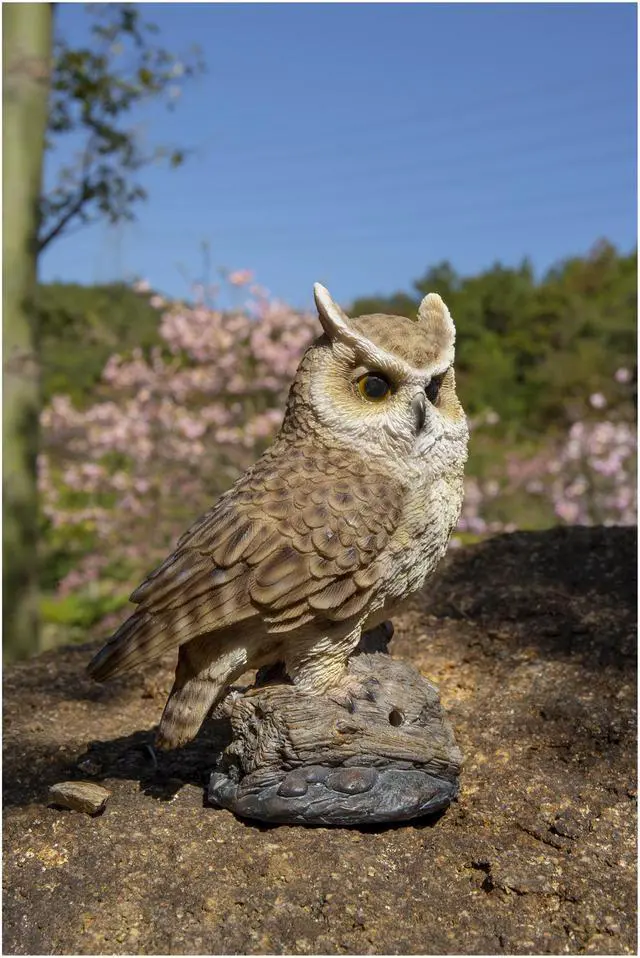 Alt view image 7 of 7 - Hi-Line Gift Motion Activated Singing Long Eared Owlet Standing On Stump