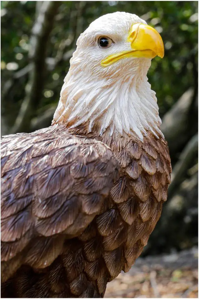 Alt view image 6 of 8 - Hi-Line Gift Motion Activated Singing Eagle