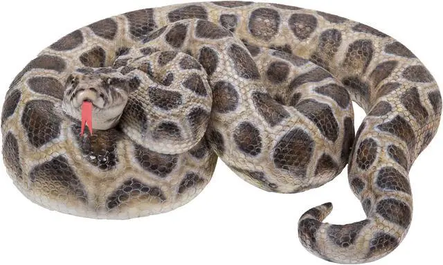 Alt view image 2 of 6 - Hi-Line Gift CurLED Up Python Statue
