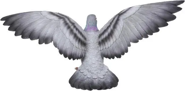 Alt view image 4 of 6 - Hi-Line Gift Grey Pigeon with Coloured Neck Statue