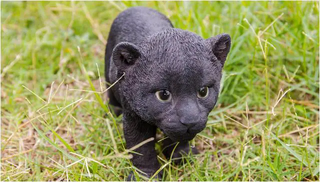 Alt view image 7 of 7 - Hi-Line Gift Black Panther Cub