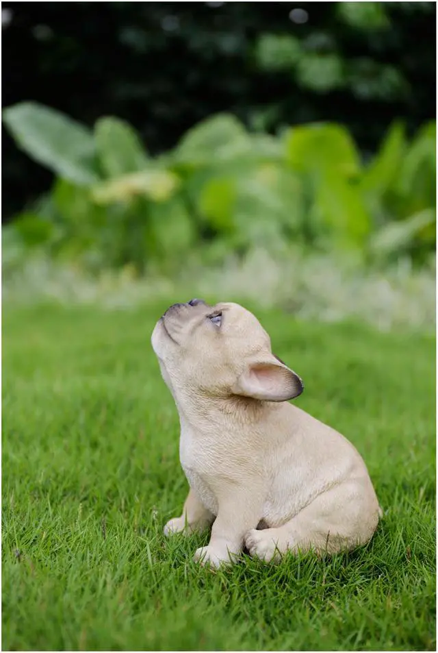 Alt view image 8 of 9 - Hi-Line Gift French Bulldog Puppy Howling
