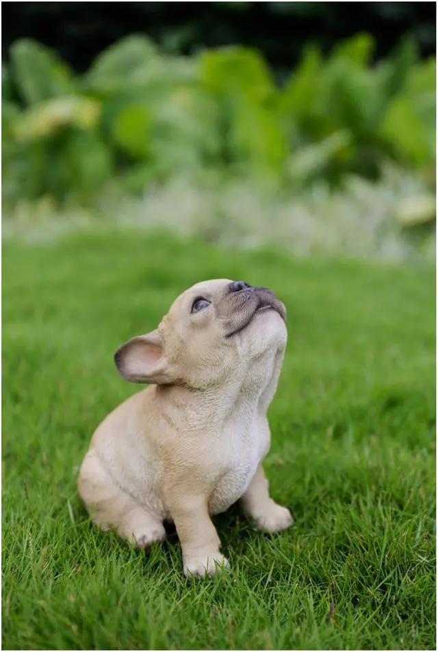 Alt view image 9 of 9 - Hi-Line Gift French Bulldog Puppy Howling