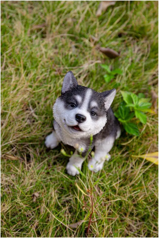 Alt view image 7 of 8 - Hi-Line Gift Siberian Husky Puppy Howling