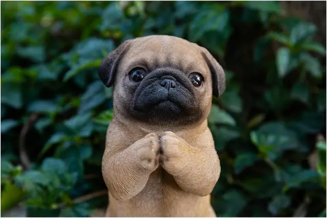 Alt view image 7 of 7 - Hi-Line Gift Pug Puppy Statue Praying