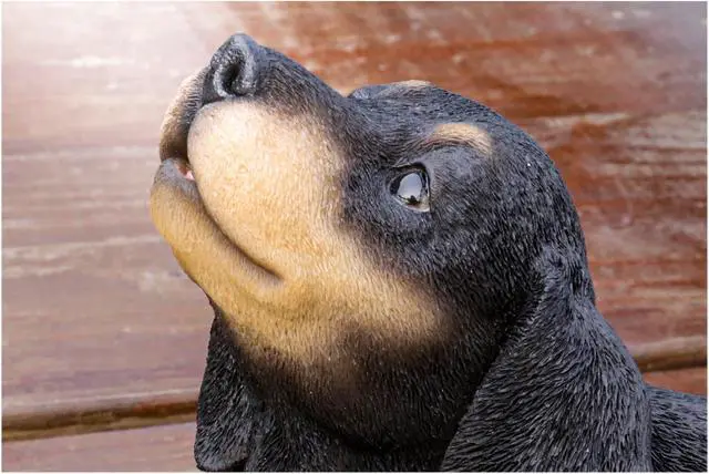 Alt view image 6 of 7 - Hi-Line Gift Howling Dachshund Puppy Statue