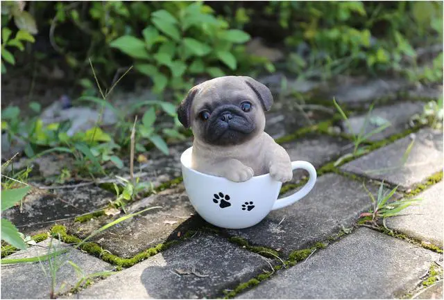 Alt view image 7 of 7 - Hi-Line Gift Teacup Pug Puppy Statue