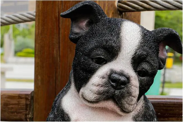 Alt view image 6 of 8 - Hi-Line Gift Sleepy Boston Terrier Puppy Statue Sitting