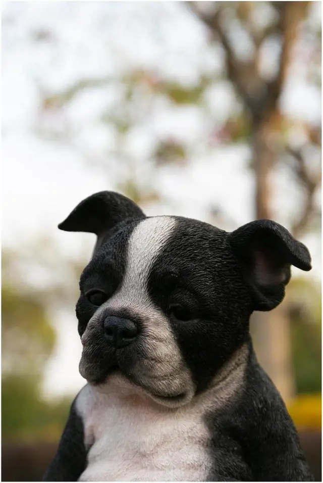 Alt view image 7 of 8 - Hi-Line Gift Sleepy Boston Terrier Puppy Statue Sitting