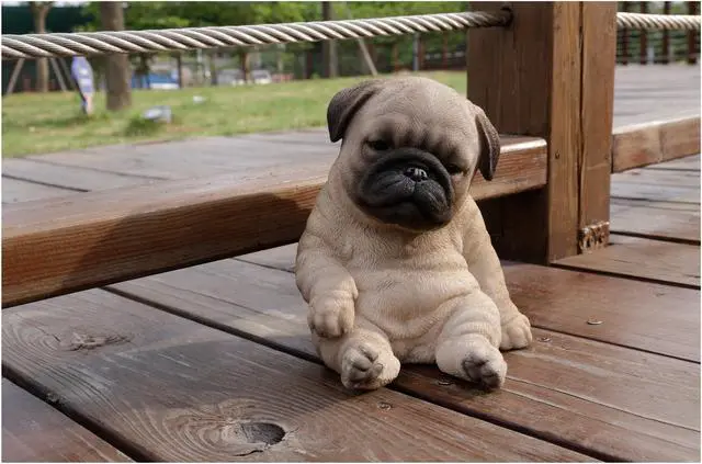 Alt view image 7 of 7 - Hi-Line Gift Sleepy Pug Puppy Statue Sitting