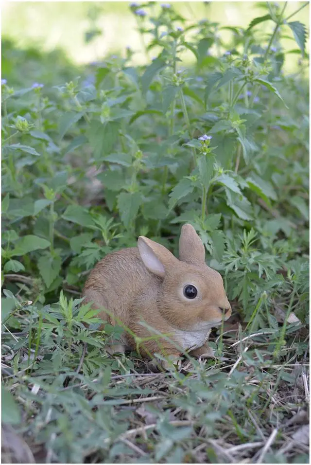 Alt view image 5 of 5 - Hi-Line Gift Sitting Rabbit
