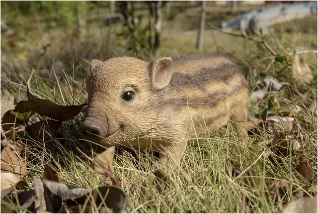 Alt view image 7 of 7 - Hi-Line Gift Wild Baby Boar Standing