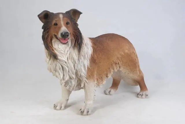 Main image of Hi-Line Gift Collie Statue