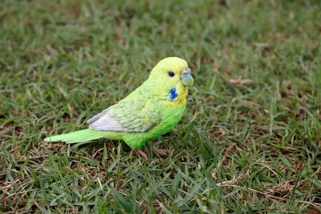 Main image of Hi-Line Gift Green Budgerigar with Iron Foot Statue