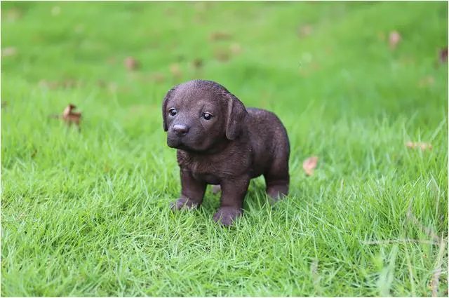 Alt view image 5 of 5 - Hi-Line Gift Chocolate Standing Labrador Puppy Statue