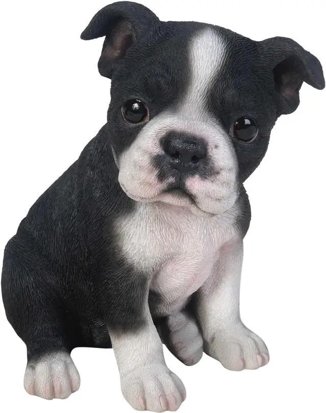 Main image of Hi-Line Gift Boston Terrier Puppy Statue