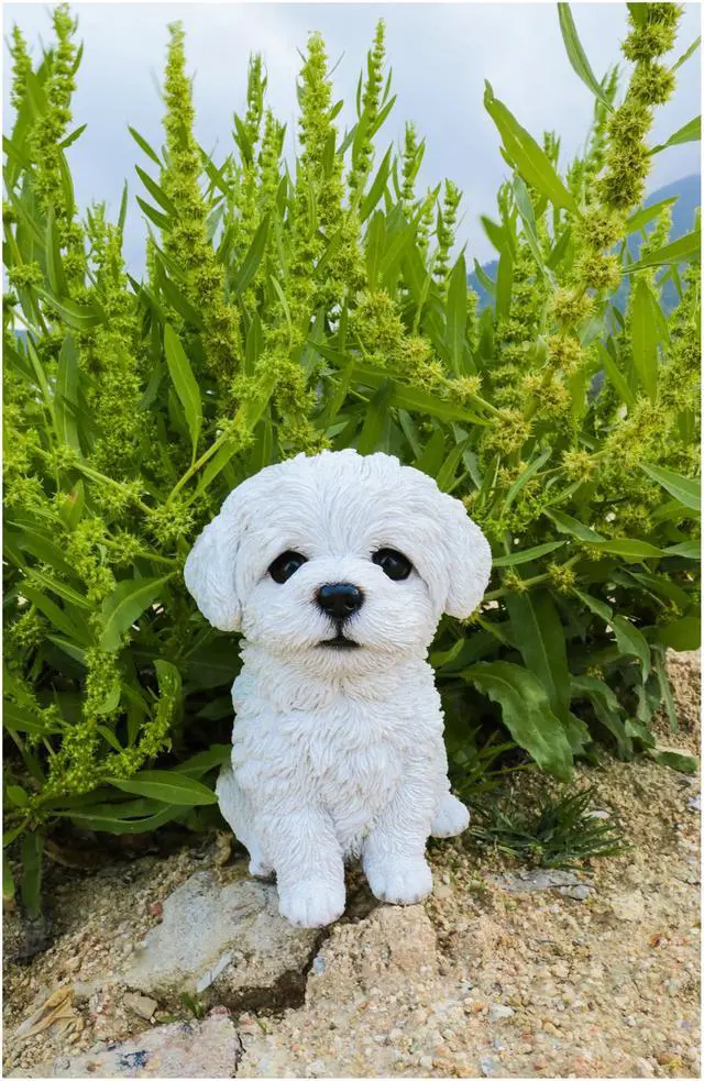 Alt view image 6 of 6 - Hi-Line Gift Maltese Puppy Statue
