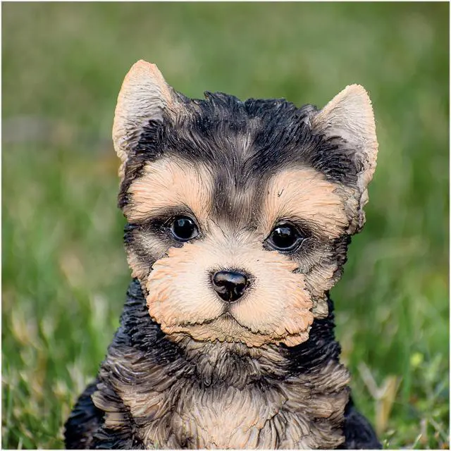 Alt view image 5 of 6 - Hi-Line Gift Yorkshire Terrier Puppy