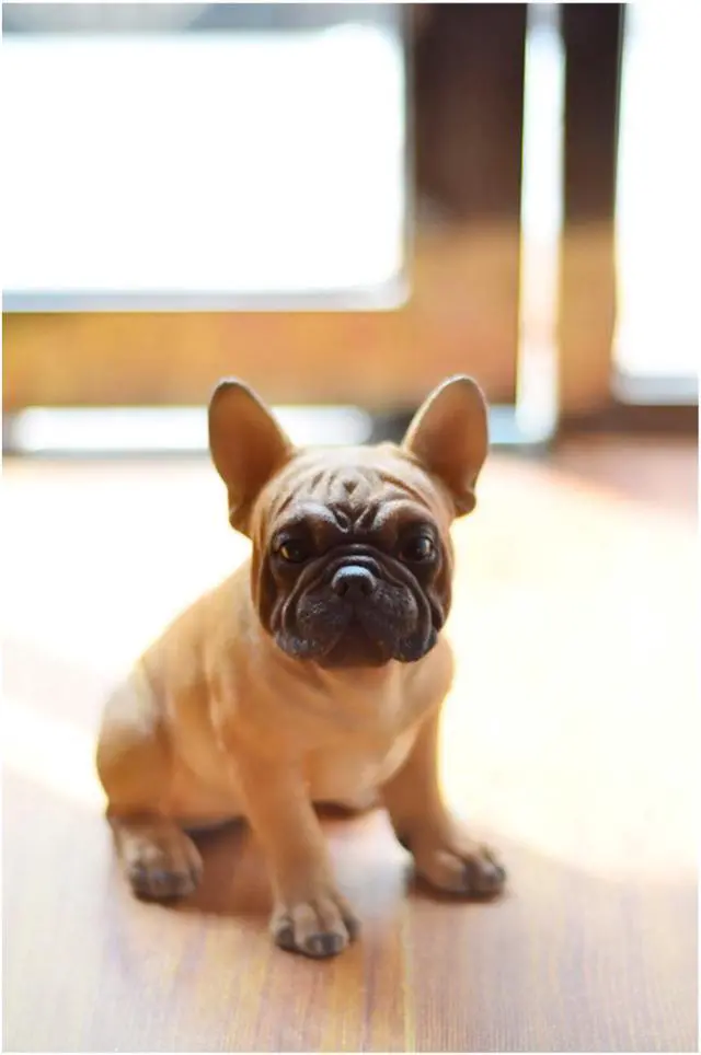 Alt view image 4 of 4 - Hi-Line Gift French Bulldog Puppy