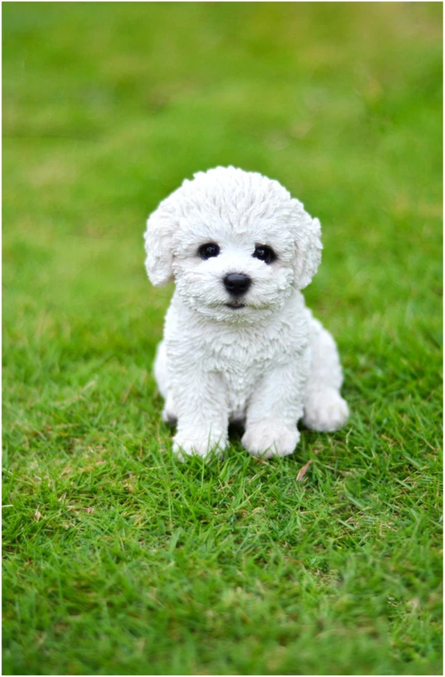 Alt view image 5 of 5 - Hi-Line Gift Bichon Frise Puppy