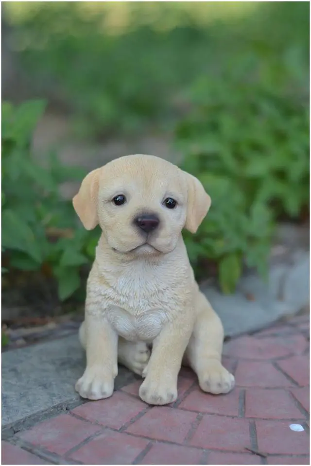 Alt view image 5 of 5 - Hi-Line Gift Yellow Labrador Puppy
