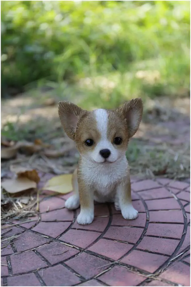 Alt view image 5 of 5 - Hi-Line Gift Brown & White Chihuahua Puppy