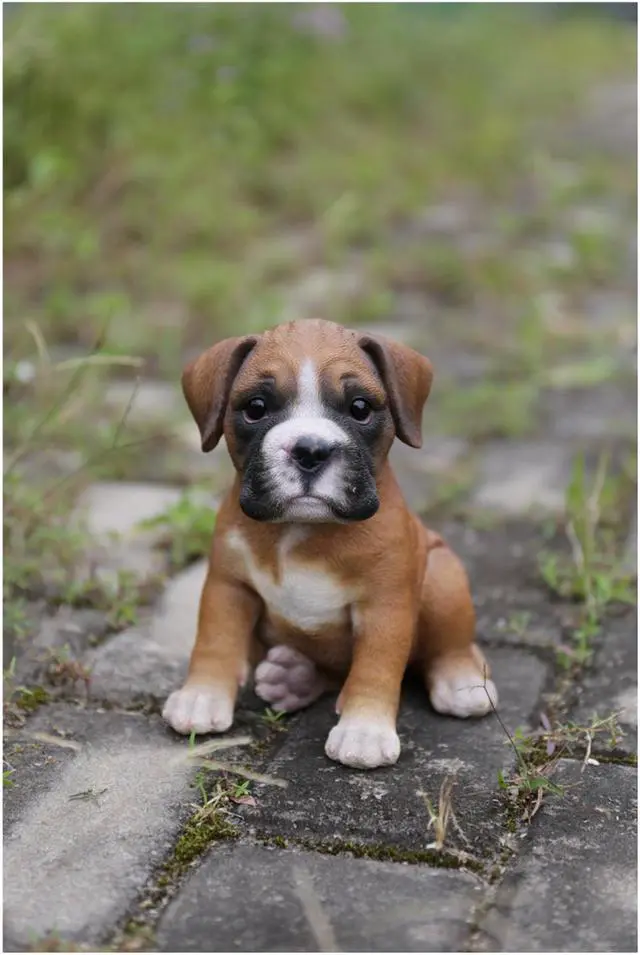 Alt view image 5 of 5 - Hi-Line Gift Boxer Puppy