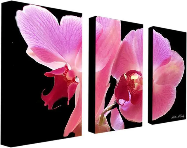 Main image of Trademark Fine Art Kathie McCurdy 'Orchid' 3-panel Art Set