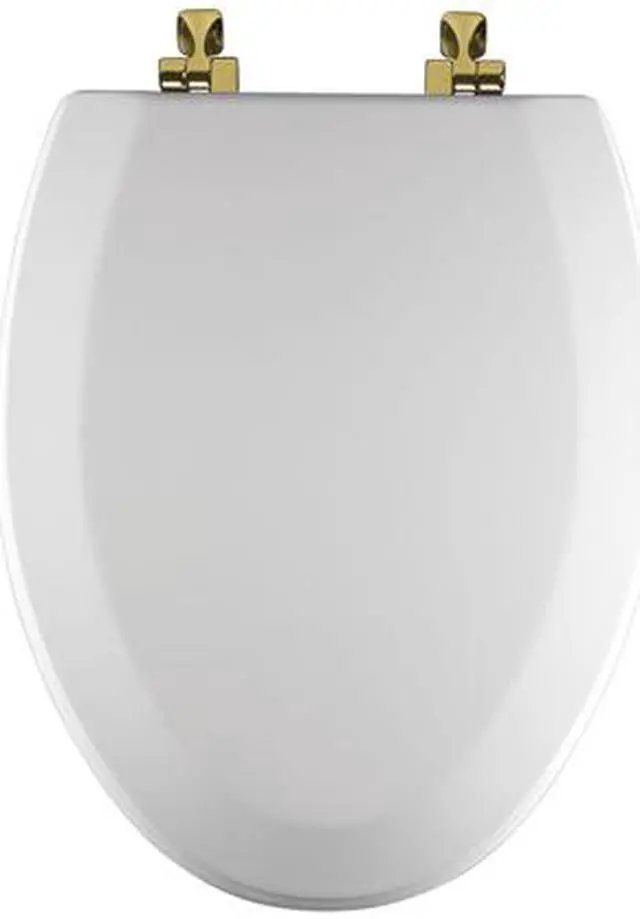 Main image of Church/Bemis 585BR 000 Elongated Wood Seat w/Polished Brass Hinges, White