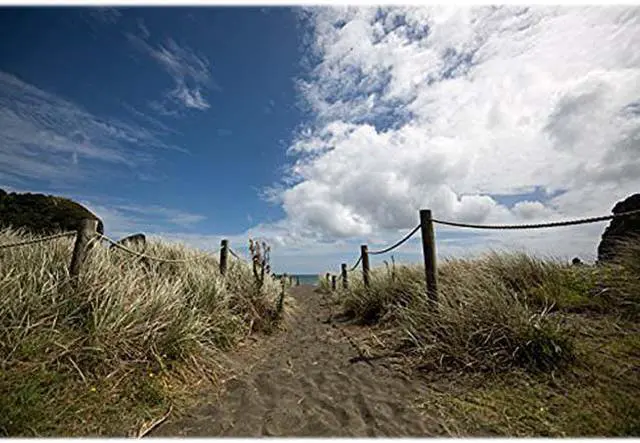 Alt view image 7 of 7 - Sigma 14-24mm f/2.8 DG HSM Art Lens - Canon