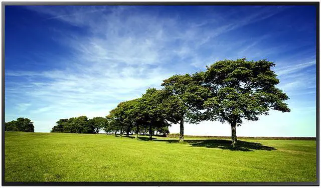 Main image of Samsung QM65N 65IN LED 3840X2160 4000:1