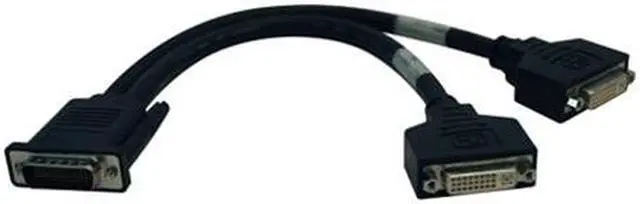 Main image of TRIPP LITE 1 ft. DMS59 to (2) DVI-I Female Splitter Cable P576-001