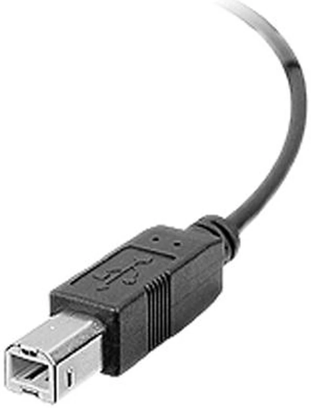 Alt view image 3 of 4 - SIIG USB 2.0 B-Type to 5-Pin Header Cable
