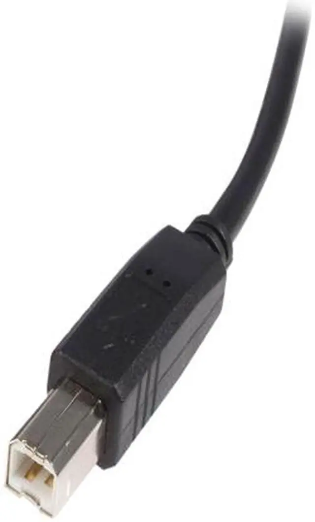 Alt view image 3 of 6 - StarTech.com USB2HAB10 10 ft. USB 2.0 Certified A to B Cable - M/M - 10 ft. Type A to B USB Cable - 10 ft. A to B USB 2.0 Cable