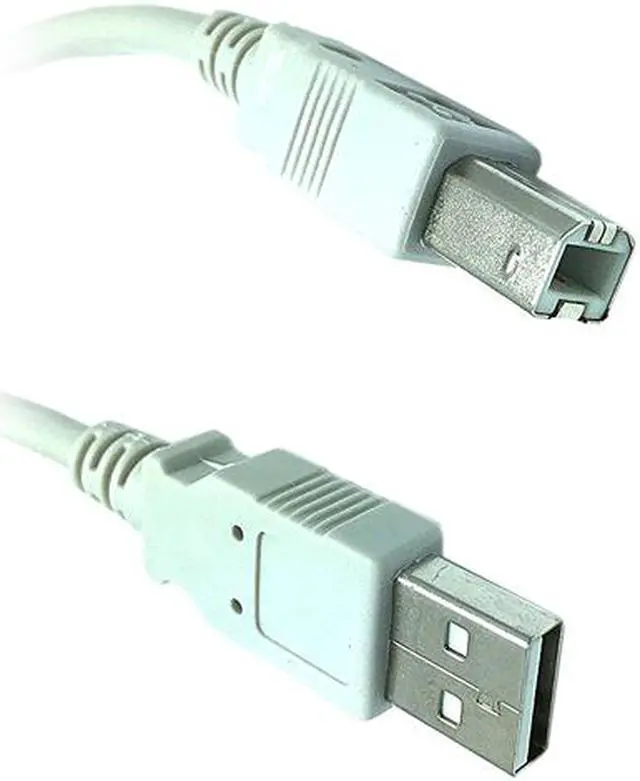 Main image of Gray - USB 2.0 Compliant A to B, 6 feet - High Speed USB Cable