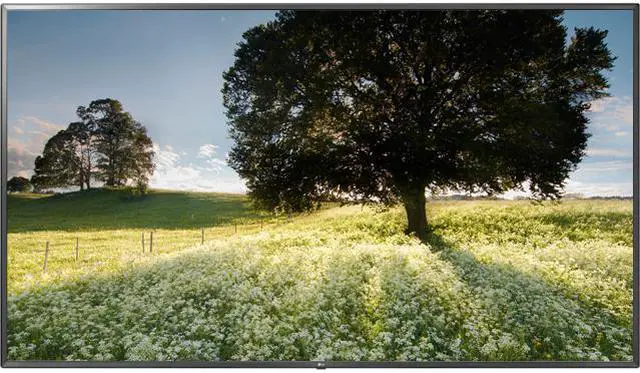 Main image of LG 86UL3G-B 86" 55UL3G-B UL3G-B Series IPS UHD Commercial Display Monitor with Built-in Quad Core SoC, webOS 4.0 Smart Signage Platform, Crestron & Cisco Compatible & Built-in Speaker