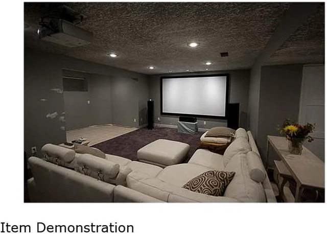 Elunevision Projector EluneVision Projector Screens EV-F-106-1.2 - Newegg.ca
