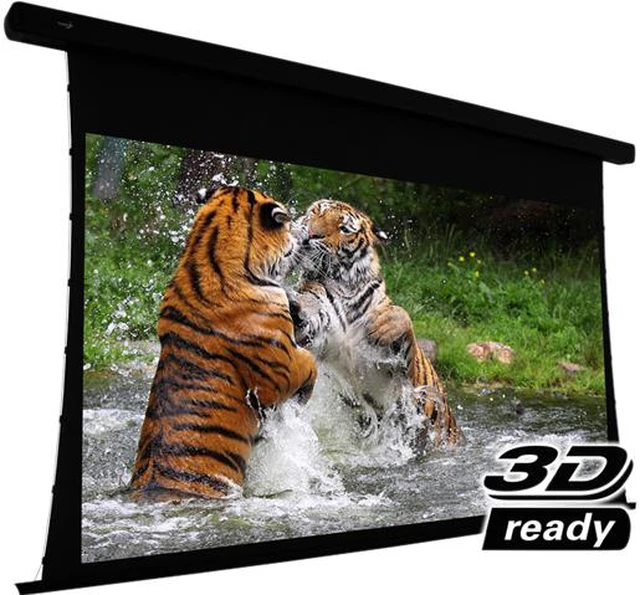 Elunevision Projector EluneVision Reference Electric Projection Screen - 106