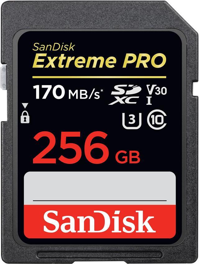 SanDisk 256GB Extreme Pro SDXC UHS-I/U3 V30 Class 10 Memory Card, Speed Up  to 170MB/s (SDSDXXY-256G-GN4IN)