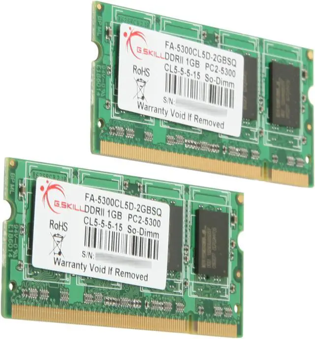 Main image of G.SKILL 2GB (2 x 1GB) DDR2 667 (PC2 5300) Dual Channel Kit Memory For Apple Notebook Model FA-5300CL5D-2GBSQ