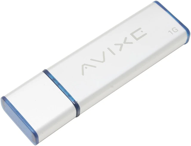 Avixe 1GB Flash Drive (USB2.0 Portable) - Newegg.com