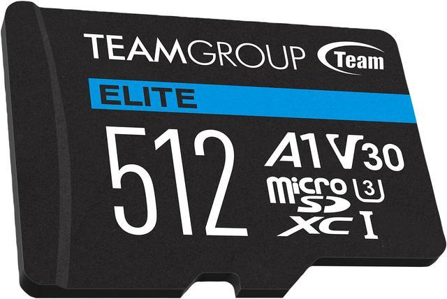  TEAMGROUP GO Card 256GB x 2 Pack Micro SDXC UHS-I U3 V30 4K for  GoPro & Action Cameras High Speed Flash Memory Card with Adapter for  Outdoor, Sports, 4K Shooting TGUSDX256GU364 