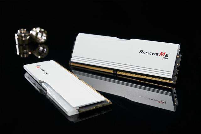 Alt view image 4 of 6 - G.SKILL Ripjaws M5 RGB Series 32GB (2 x 16GB) 288-Pin PC RAM DDR5 6000 (PC5 48000) Desktop Memory