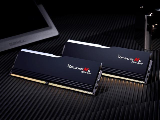 Alt view image 4 of 5 - G.SKILL Ripjaws M5 Neo RGB Series 32GB (2 x 16GB) 288-Pin PC RAM DDR5 6000 (PC5 48000) Desktop Memory