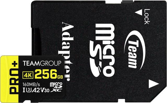 TEAMGROUP GO Card 256GB Micro SD Card for GoPro & Action Cameras, MicroSDXC  UHS-I U3 High Speed Flash Memory Card with Adapter for Outdoor, Sports, 4K