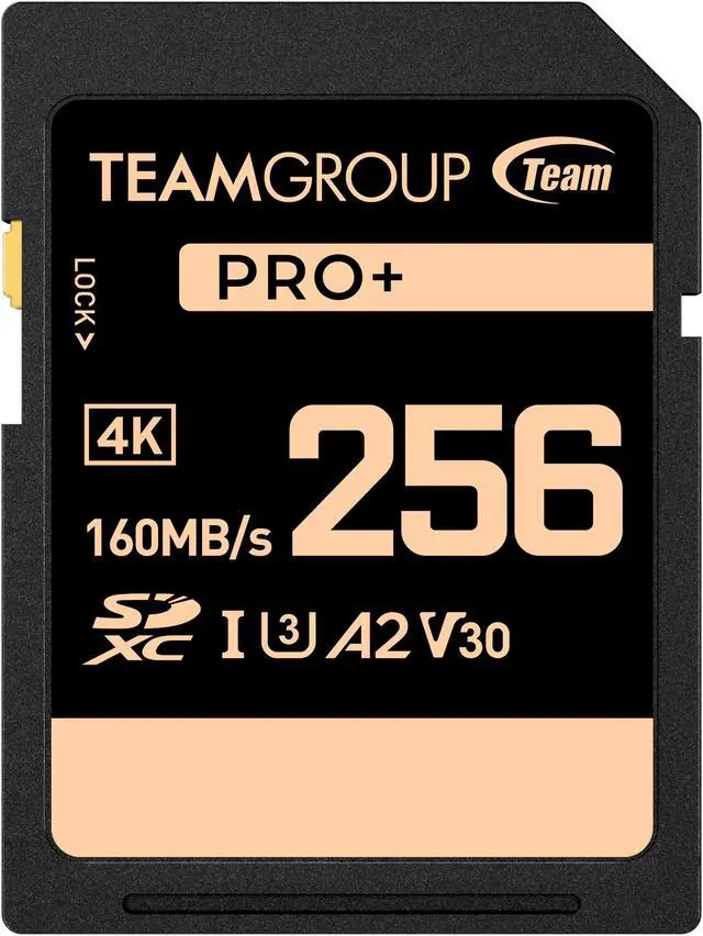 Main image of Team Group 256GB PRO+ SDXC U3 V30 A2 4K SD Card, Read/Write Speed Up to 160/90MB/s (TPPSDX256GIA2V3001)